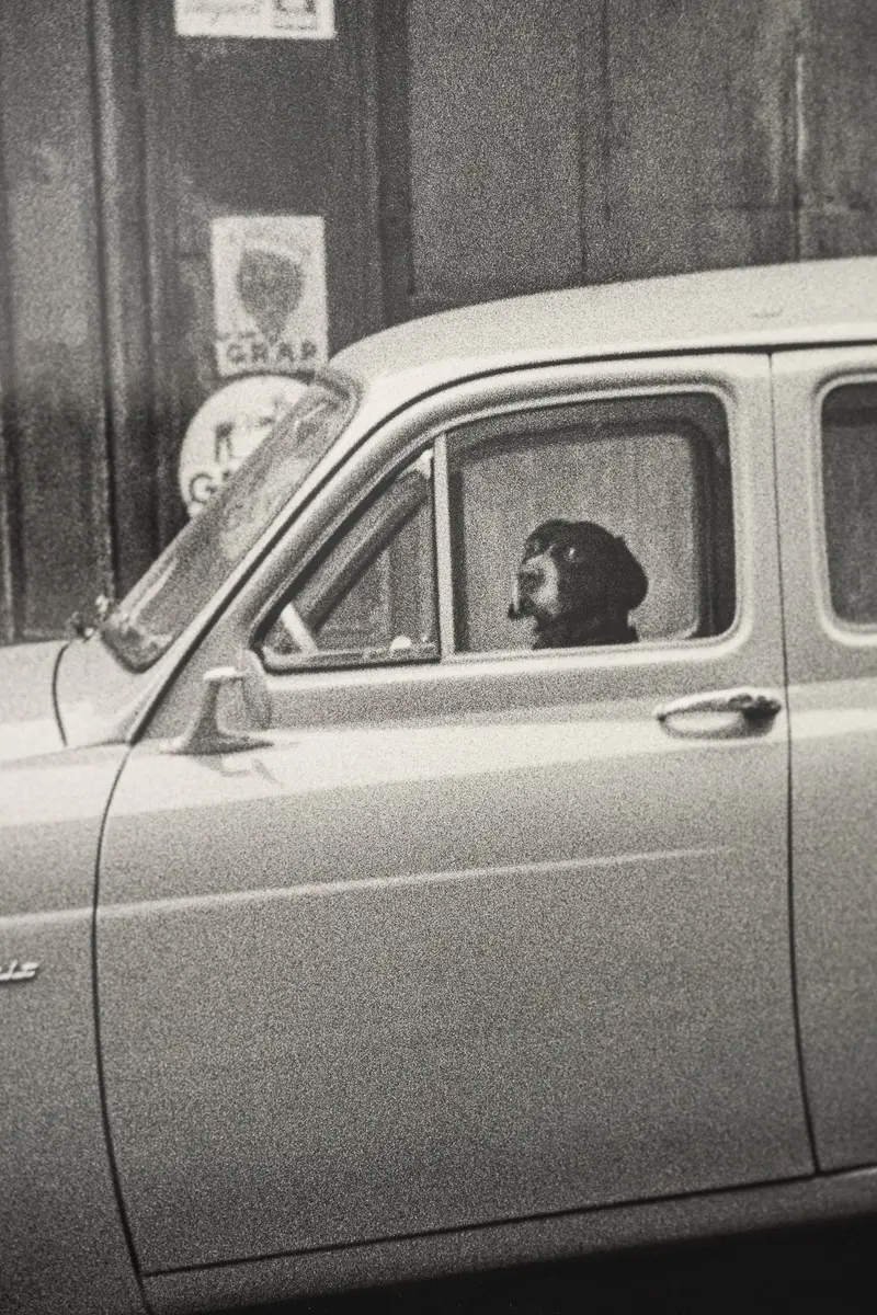 Vintage Car with Driver in Black and White Photograph