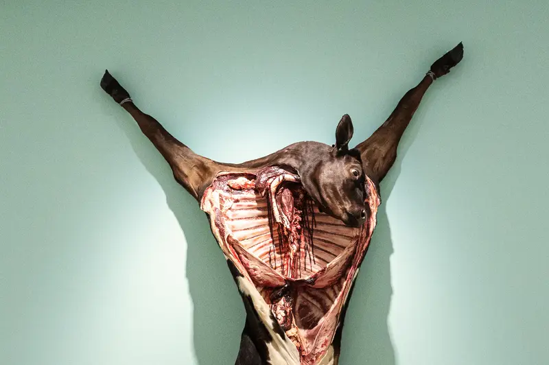 Butchered Animal Carcass Suspended Against Mint Green Background
