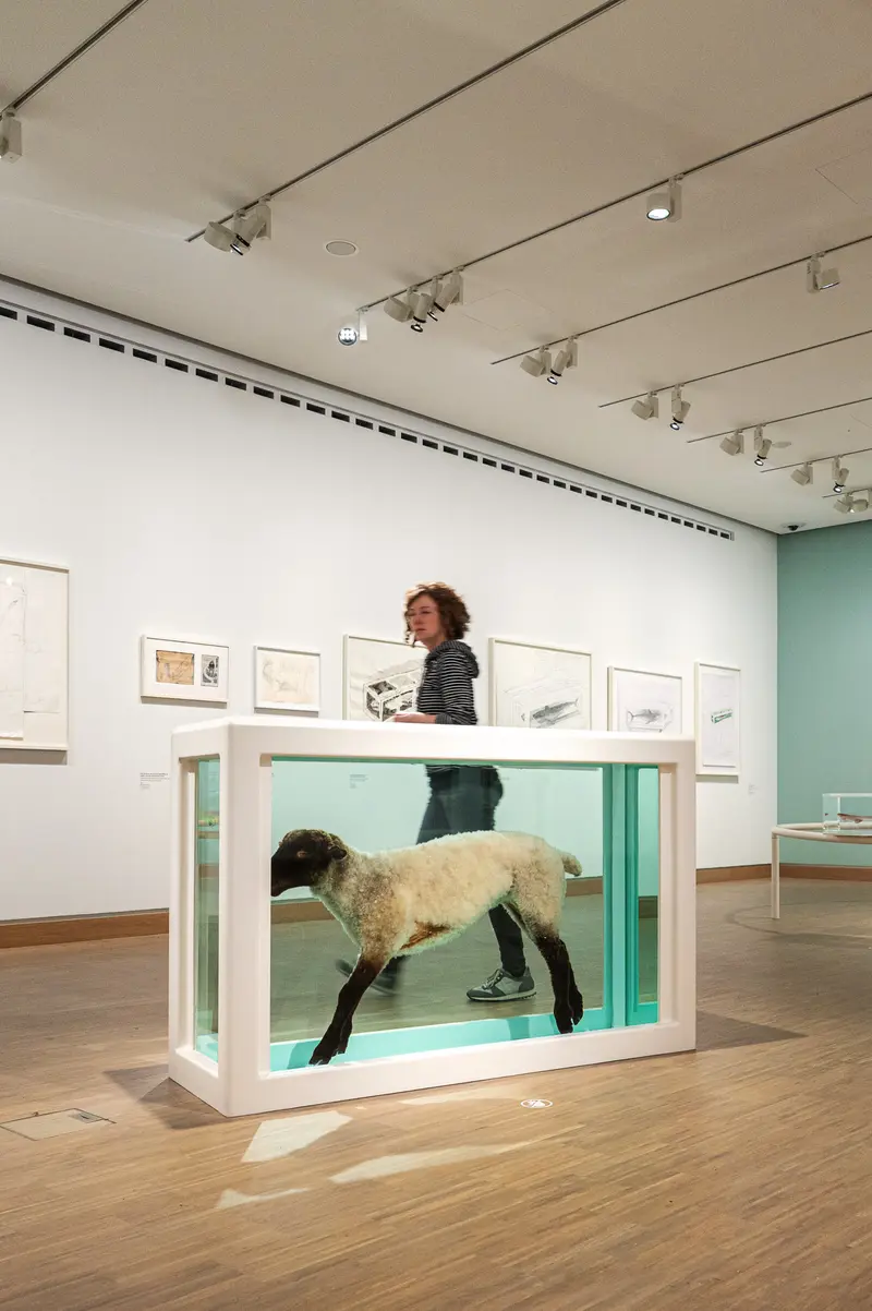 Contemporary Art Gallery Exhibit Featuring Preserved Animal Specimen in Glass Tank