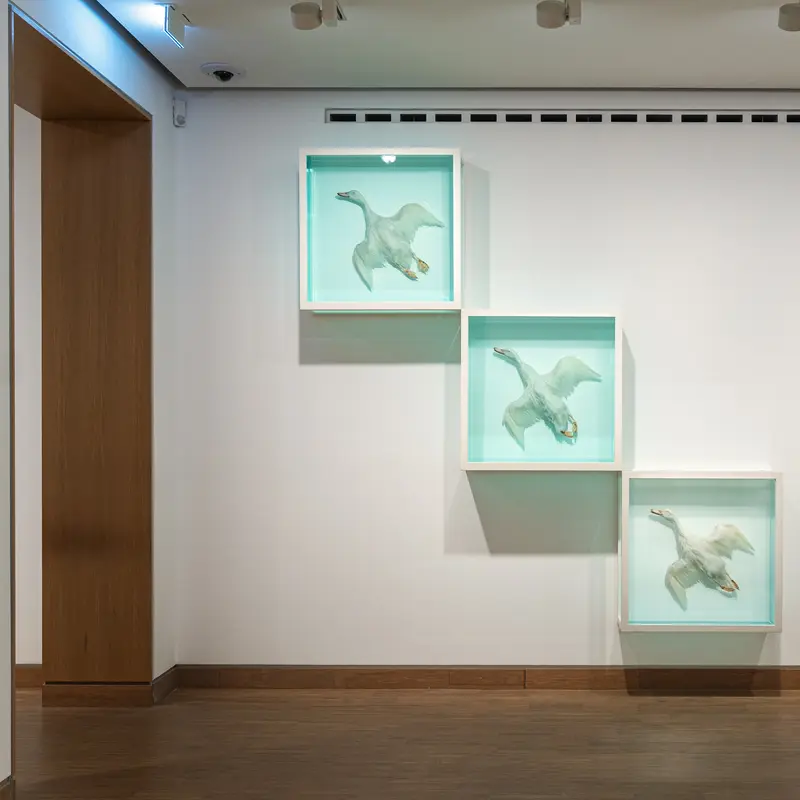 Teal-Framed Sea Turtle Artwork in Minimalist Gallery Setting