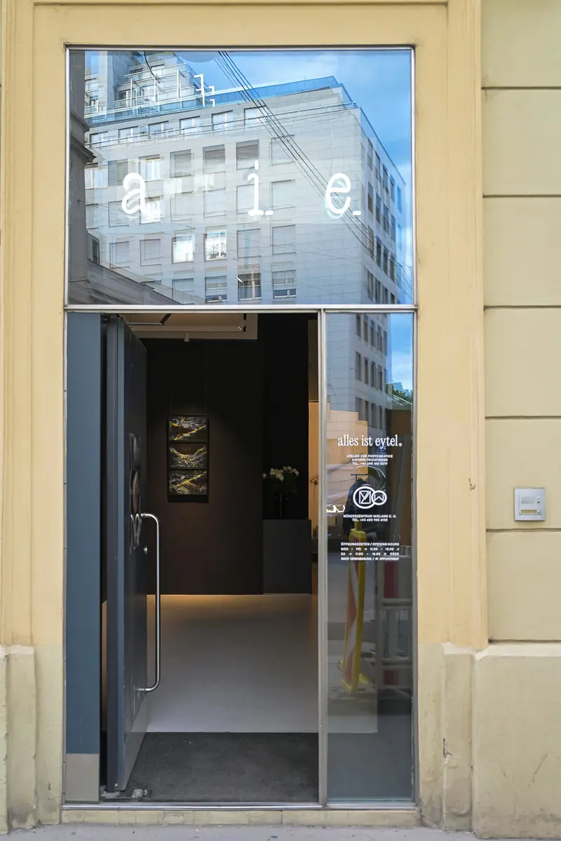 Glass Gallery Entrance with Urban Building Reflection at Contemporary Art Space