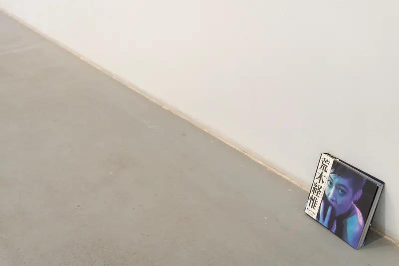 Araki Exhibition at Ostlicht: Framed Photographic Portrait on Minimalist Background
