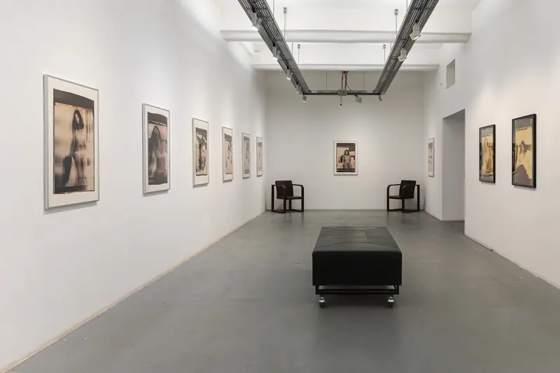Araki Exhibition at Ostlicht Gallery: Monochromatic Photographic Installation