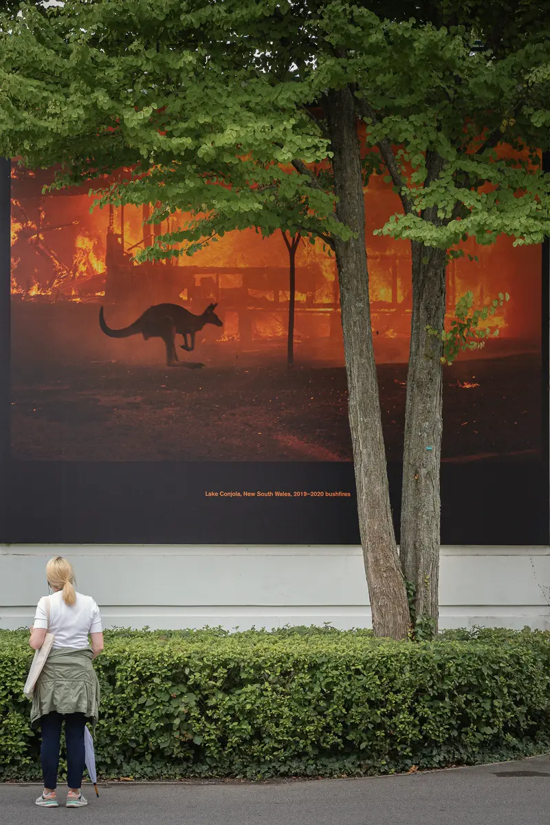 Wildfire Landscape Poster Amid Urban Greenery: Kangaroo Silhouette Against Burning Forest