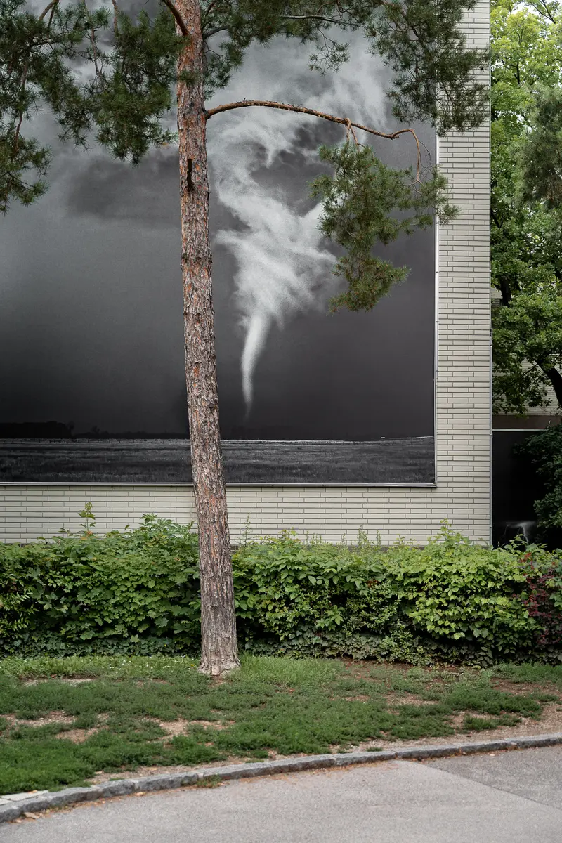 Surreal Smoke Phantom Emerging from Tree Against Minimalist Urban Architecture