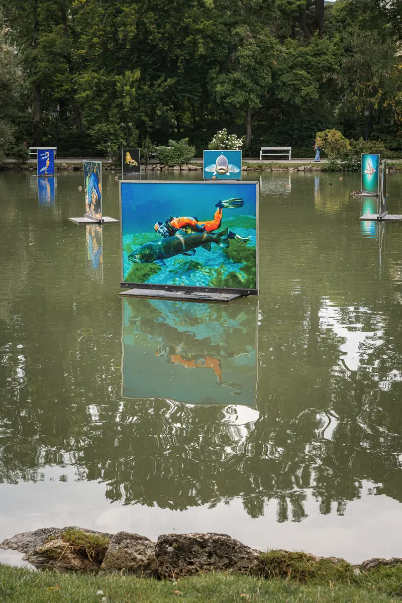 Floating Art Installation Reflecting Underwater Scene in La Gacilly Baden