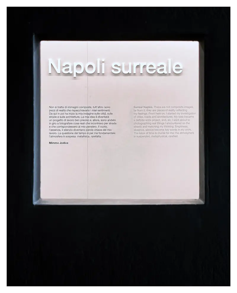 Napoli Surreale Exhibition Text Panel in Black Frame