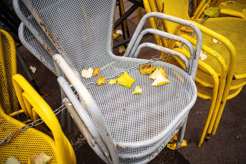 Yellow and Gray Outdoor Chairs with Scattered Autumn Leaves