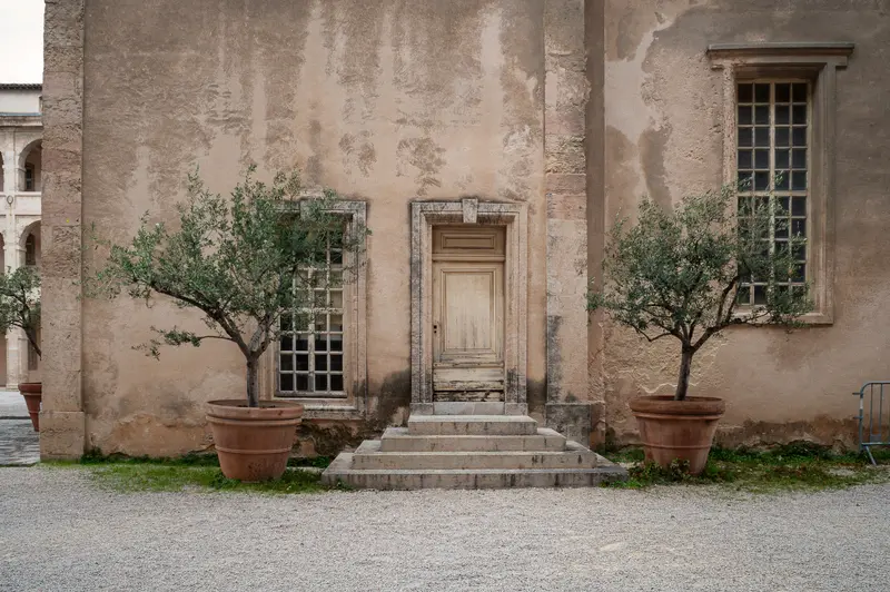Rustic Mediterranean Courtyard with Olive Trees and Stone Facade