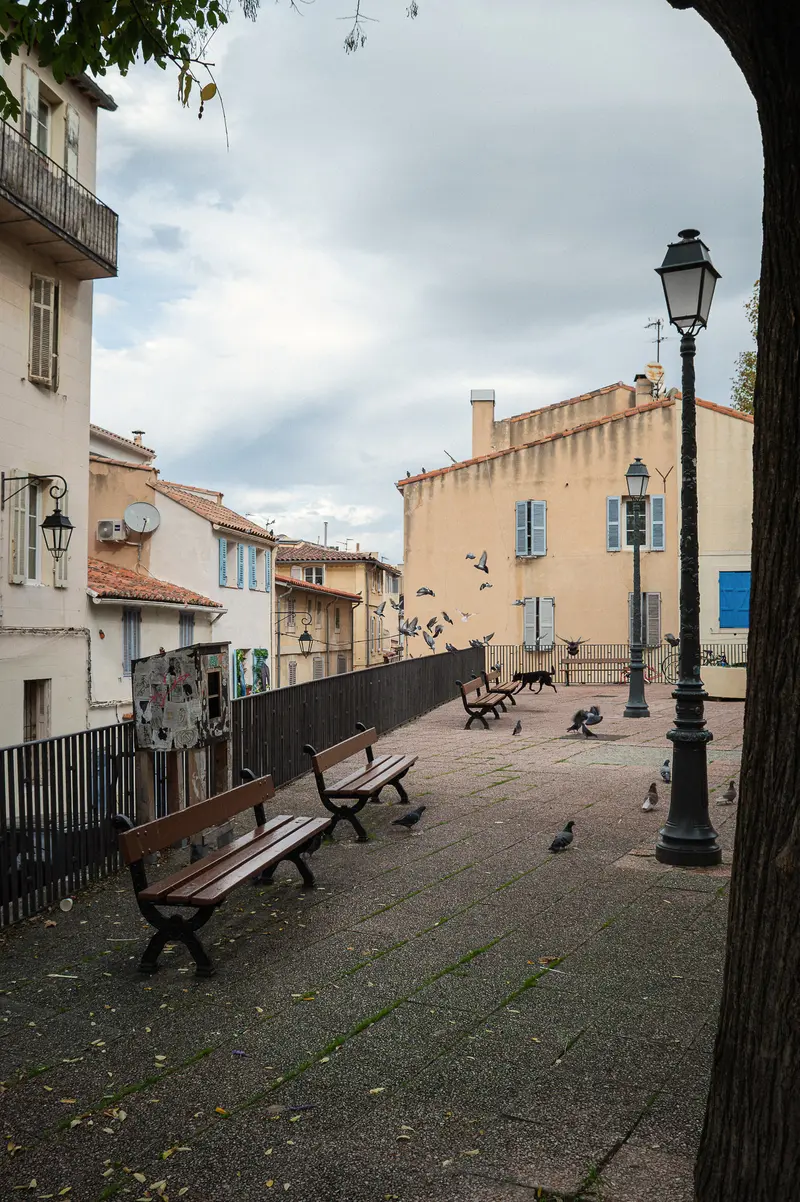 Quiet Morning Street Scene in Marseille with Pigeons and Benches