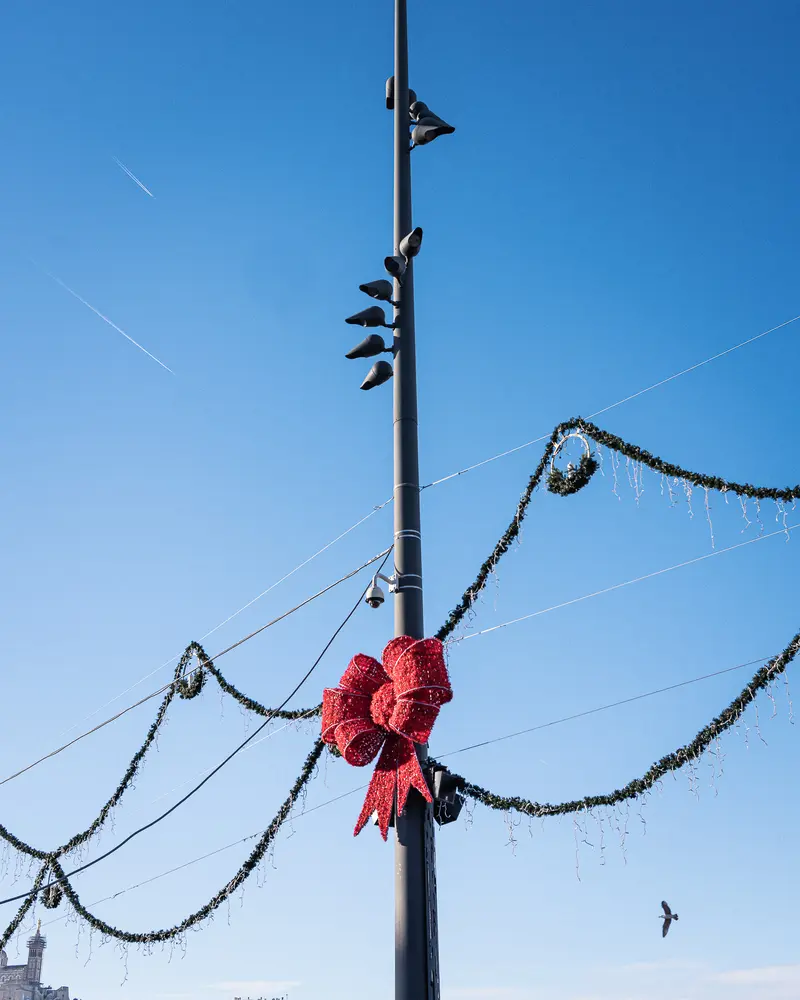 Red Holiday Bow Decorating Urban Traffic Light Against Blue Winter Sky