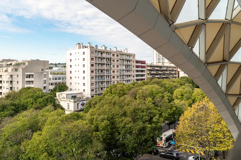 Urban Landscape of Marseille with Residential Buildings and Verdant Tree Canopy