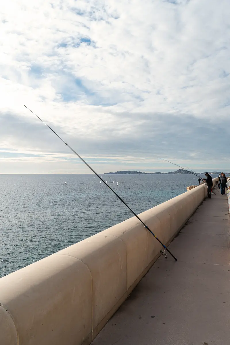 Fishing Rods Extend Along Concrete Pier with Cloudy Seascape