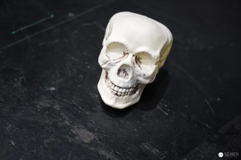 White Anatomical Skull Model on Dark Textured Surface