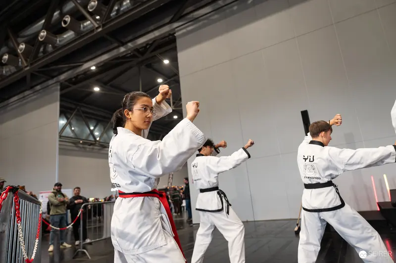 VIECC Vienna Comic Con Taekwondo, 2025