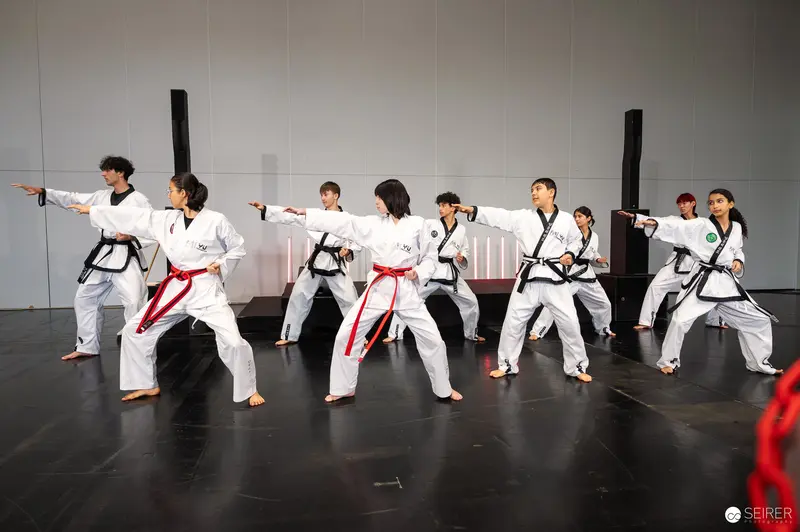 Vienna ComicCon 2025: Synchronized Taekwondo Performance by Martial Arts Team