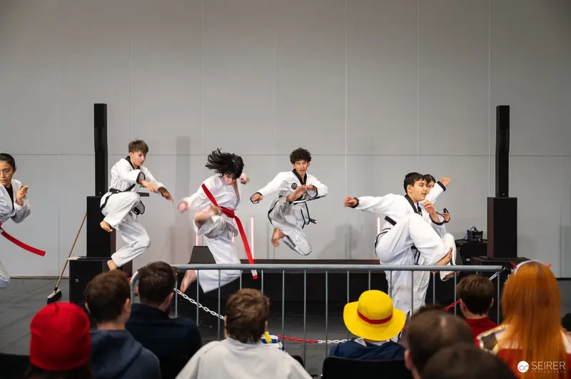 Taekwondo Performers Demonstrating High-Energy Kicks at Vienna ComicCon 2025