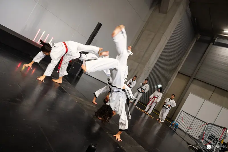 Acrobatic Taekwondo Performers Demonstrate High-Kick Techniques at Vienna ComicCon 2025