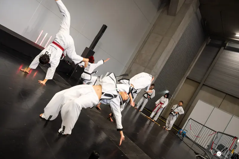 High-Flying Taekwondo Performers Mid-Action at Vienna ComicCon 2025