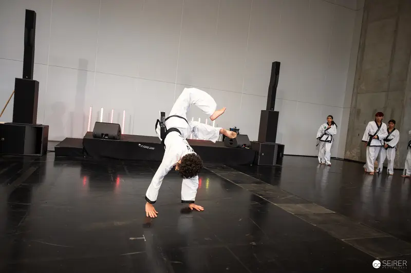 Taekwondo Performer Demonstrates Acrobatic Move at Vienna ComicCon 2025