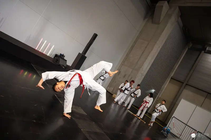Taekwondo Performer Executing Dynamic Martial Arts Move at Vienna ComicCon 2025