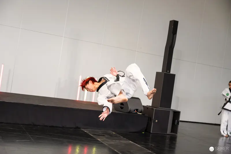 Dynamic Taekwondo Performer Mid-Air at Vienna ComicCon 2025