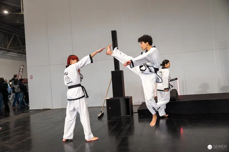 Taekwondo Practitioners Demonstrate High Kick Technique at Vienna ComicCon 2025