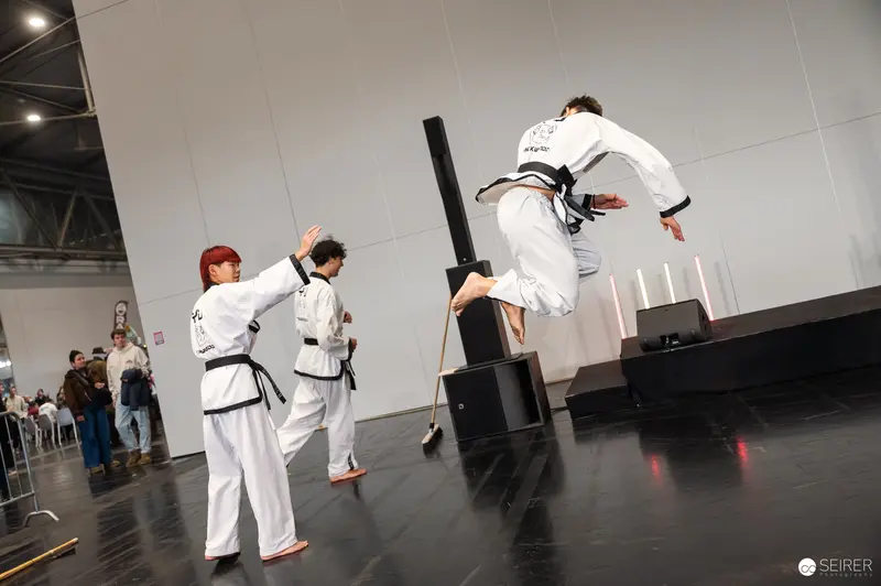 Taekwondo Martial Artists Performing Dynamic Kick at Vienna ComicCon 2025