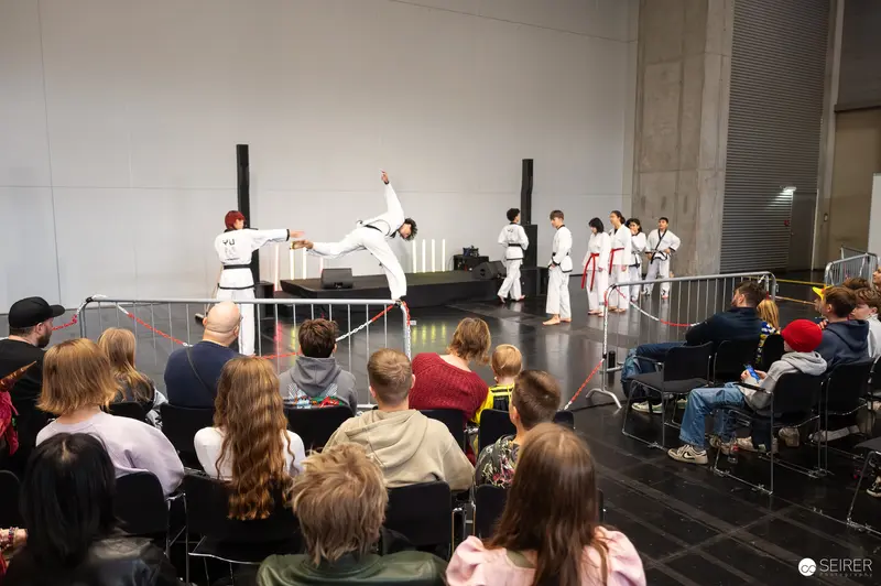 Taekwondo Martial Artists Demonstrate High-Kick Techniques at Vienna ComicCon 2025