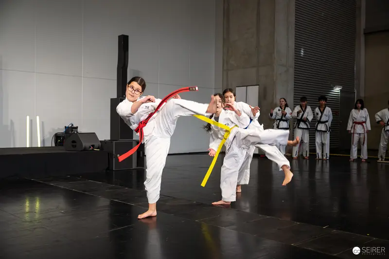 Taekwondo Athletes Performing High-Kick Techniques at Vienna ComicCon 2025