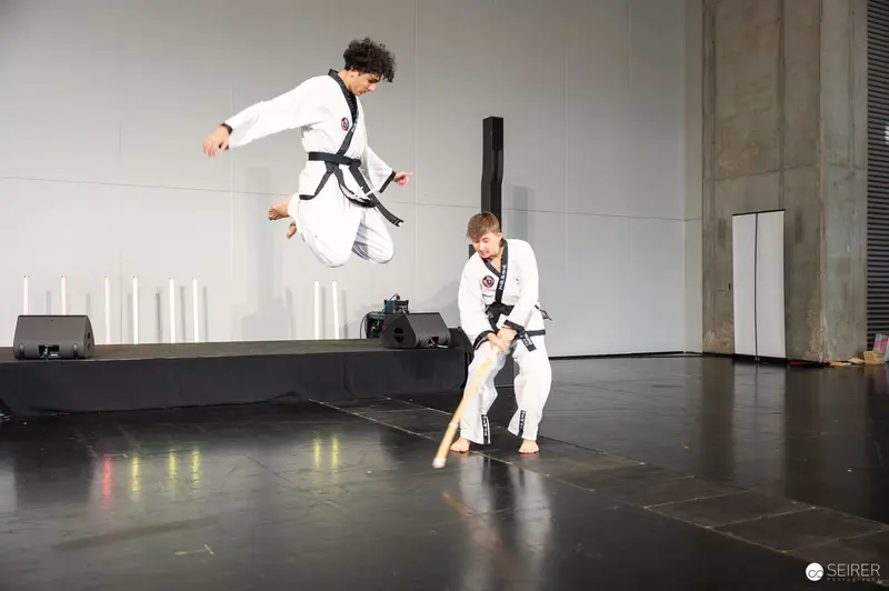 Aerial Taekwondo Performance at Vienna ComicCon 2025 Martial Arts Stage