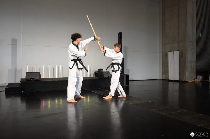 Taekwondo Martial Artists Demonstrating Traditional Weapon Techniques at Vienna ComicCon 2025