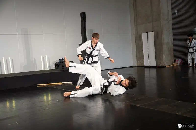 Taekwondo Demonstration at Vienna ComicCon 2025 Martial Arts Performance