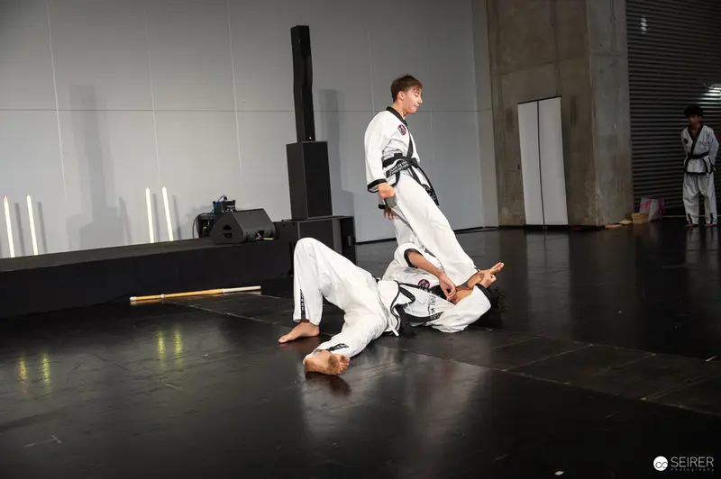 Taekwondo Performers Demonstrate Dynamic Martial Arts Technique at Vienna ComicCon 2025