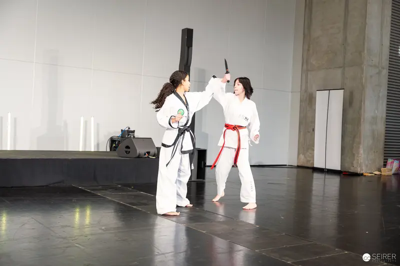 Taekwondo Martial Artists Demonstrate Technique at Vienna ComicCon 2025