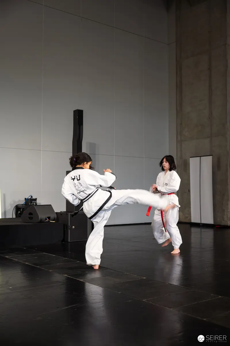 Dynamic Taekwondo High Kick Performance at Vienna ComicCon 2025