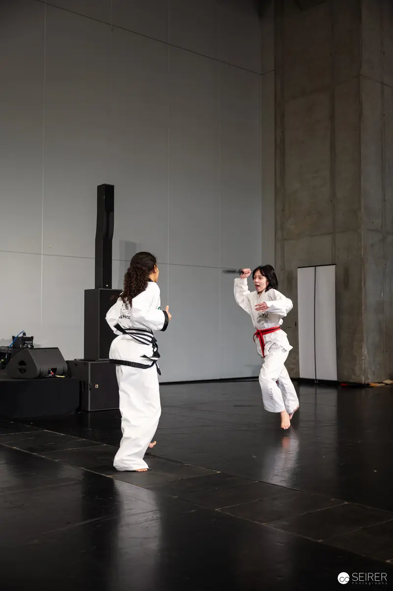 Taekwondo Martial Artists Demonstrate Combat Stance at Vienna ComicCon 2025