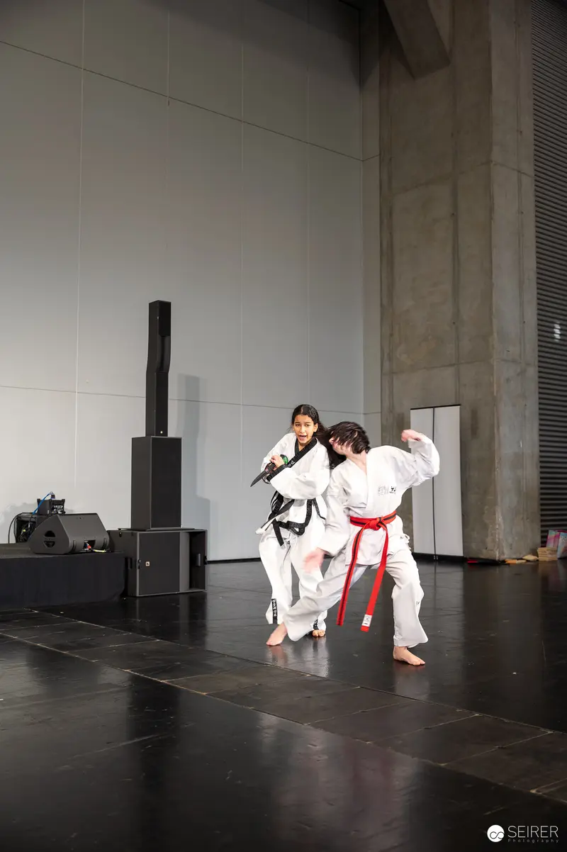 Taekwondo Martial Artists Performing Dynamic Kick at Vienna ComicCon 2025
