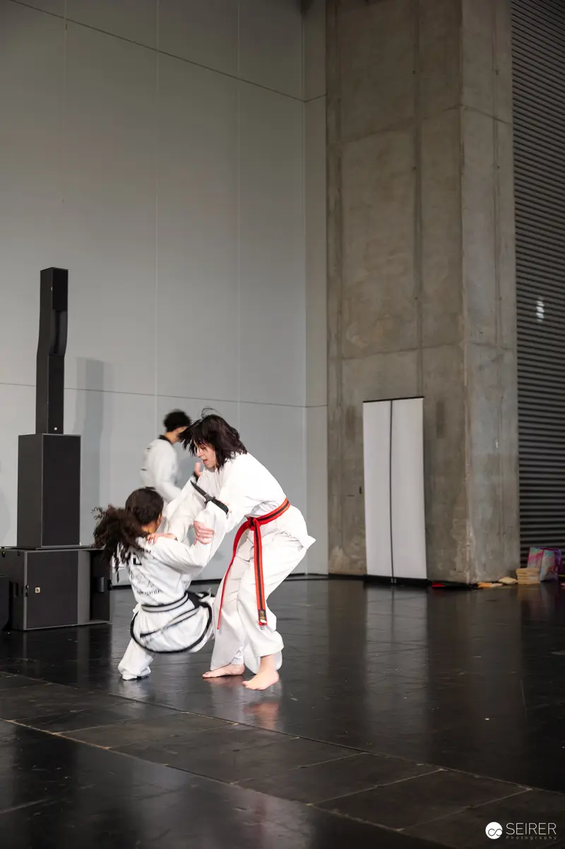 Taekwondo Demonstration of Dynamic Grappling Techniques at Vienna ComicCon 2025