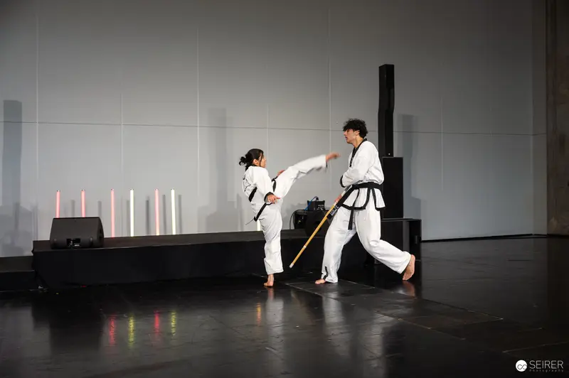 Taekwondo Practitioners Demonstrating Dynamic Kick at Vienna ComicCon 2025