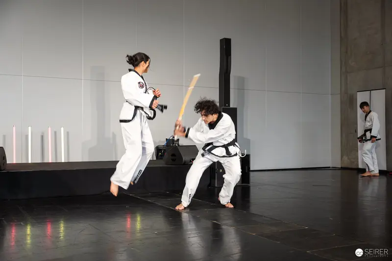 Taekwondo Performers Demonstrate Martial Arts Techniques at Vienna ComicCon 2025