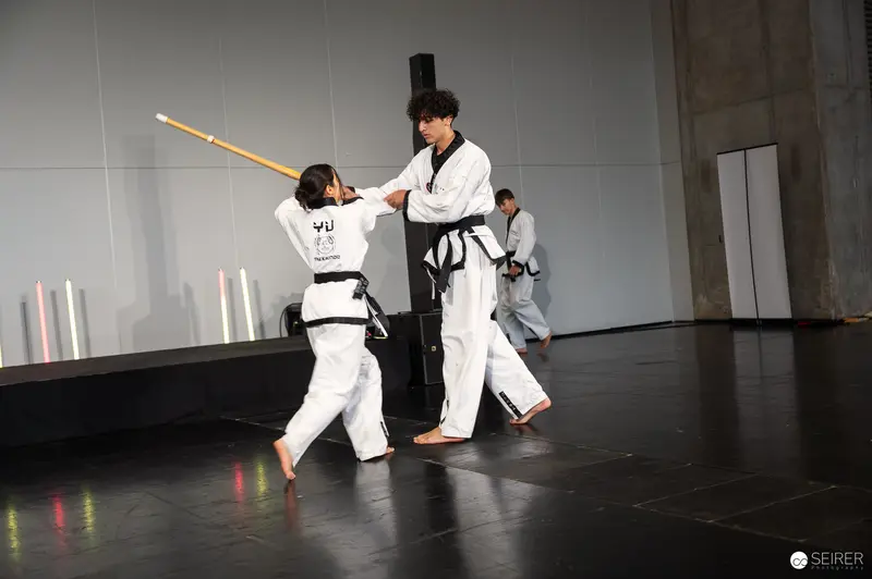 Taekwondo Practitioners Demonstrate Martial Arts Techniques at Vienna ComicCon 2025