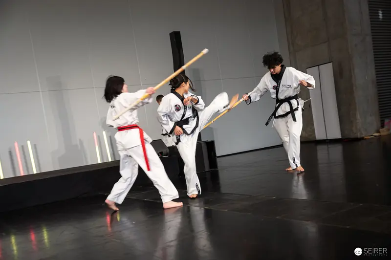 Taekwondo Martial Artists Demonstrating Advanced Kicks at Vienna ComicCon 2025
