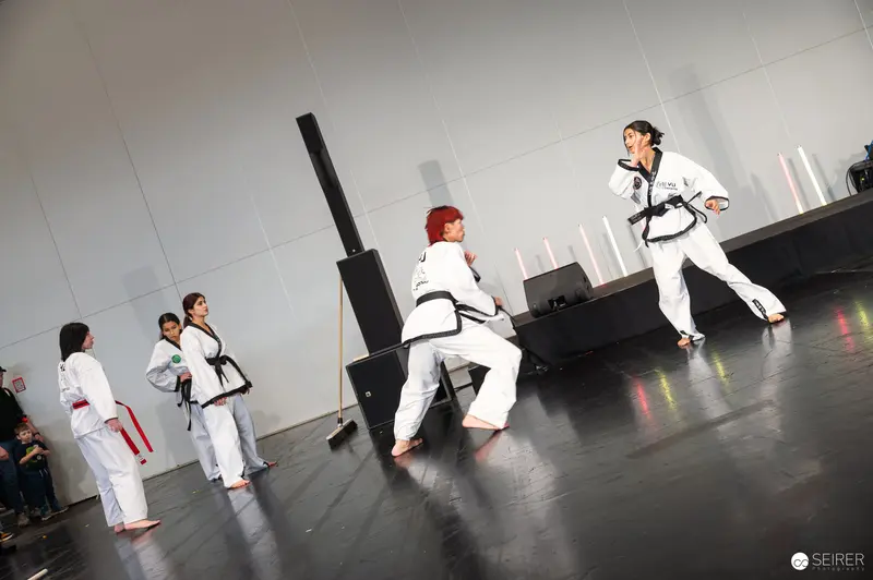Taekwondo Performers Demonstrating Martial Arts Techniques at Vienna ComicCon 2025