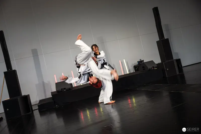 Taekwondo High-Kick Performance at Vienna ComicCon 2025