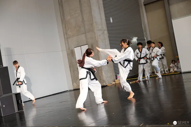 Taekwondo Demonstration at Vienna ComicCon 2025 Martial Arts Performance