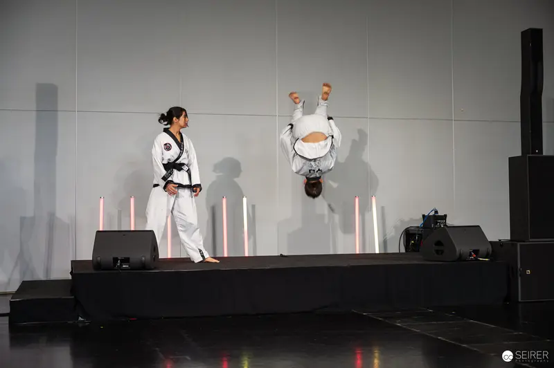 Taekwondo Performers Demonstrate Acrobatic Skills at Vienna ComicCon 2025