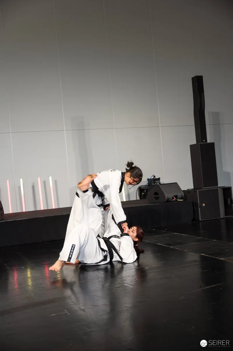 Taekwondo Performance at Vienna ComicCon 2025 Martial Arts Demonstration