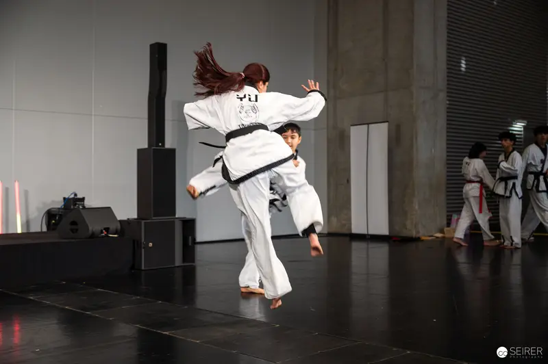 Dynamic Taekwondo Performance at Vienna ComicCon 2025 Martial Arts Showcase