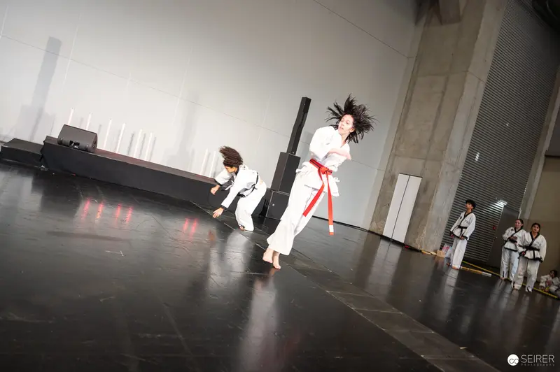 Dynamic Taekwondo Performance at Vienna ComicCon 2025 Martial Arts Stage
